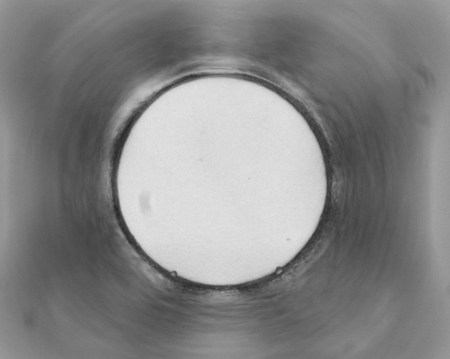 X0000111241464200908131133
