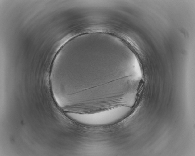 X0000111241465200908131133