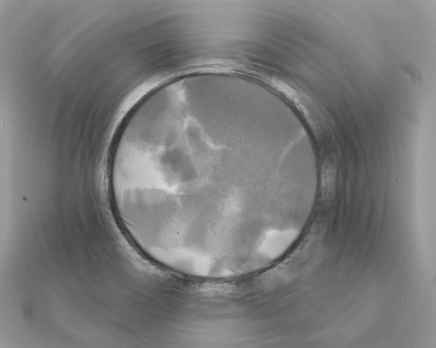 X0000111241466200908131133