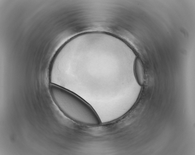 X0000111241468200908131133