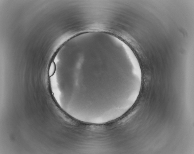 X0000111241469200908131133