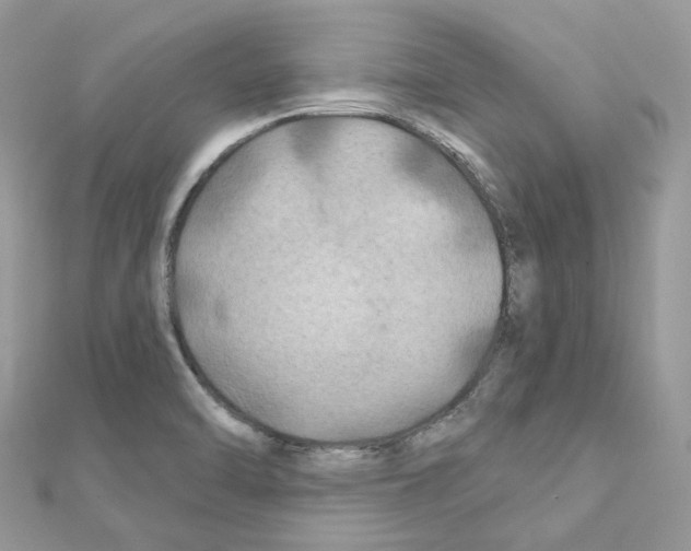 X0000111241470200908131133