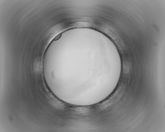 X0000111241473200908131133