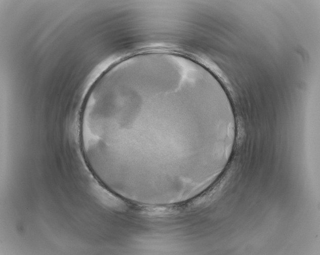 X0000111241474200908131133