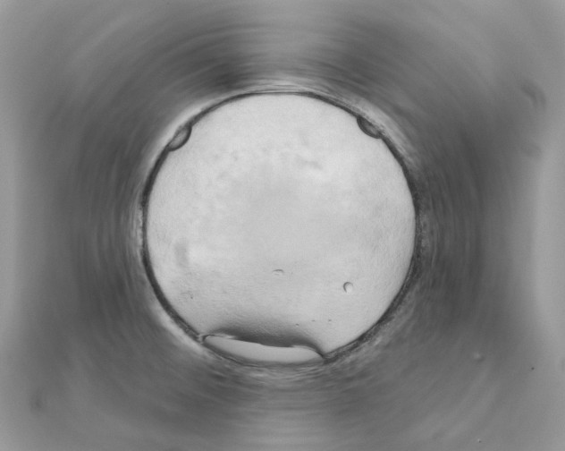 X0000111241476200908131133