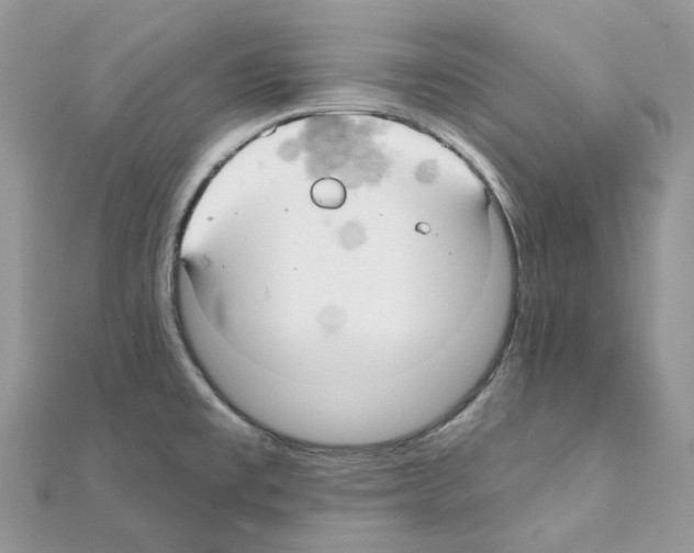 X0000111241477200908131133