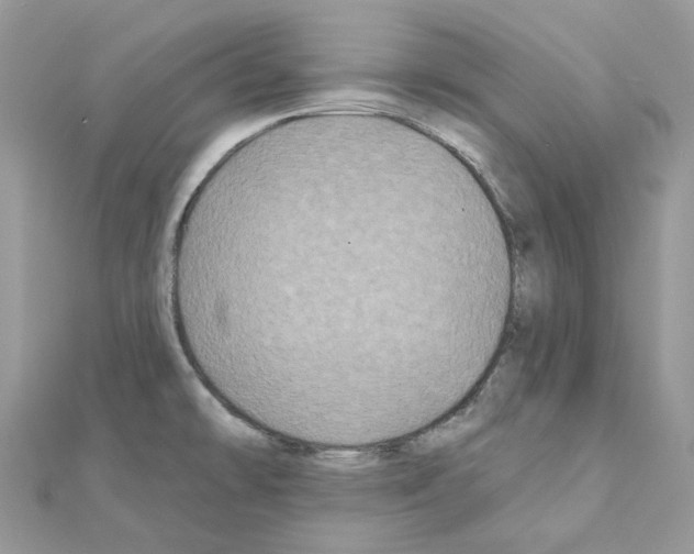 X0000111241478200908131133