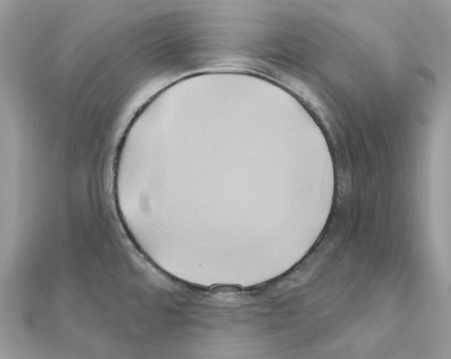 X0000111241480200908131133