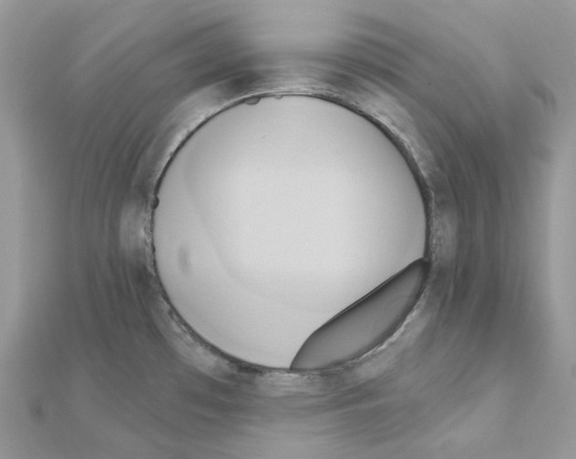 X0000111241481200908131133