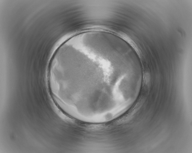 X0000111241482200908131133