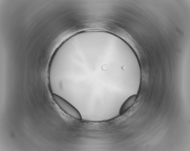 X0000111241485200908131133