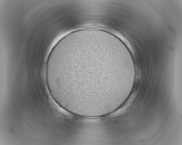 X0000111241486200908131133