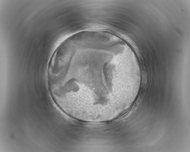 X0000111241487200908131133