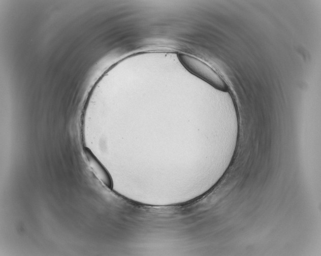 X0000111241488200908131133