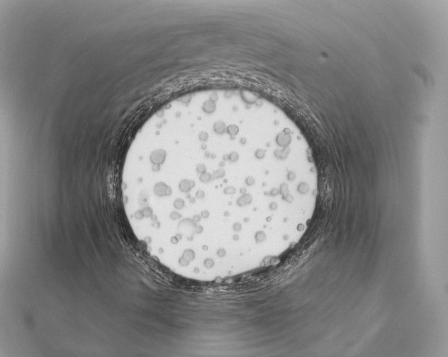 X0000111241490200908131132