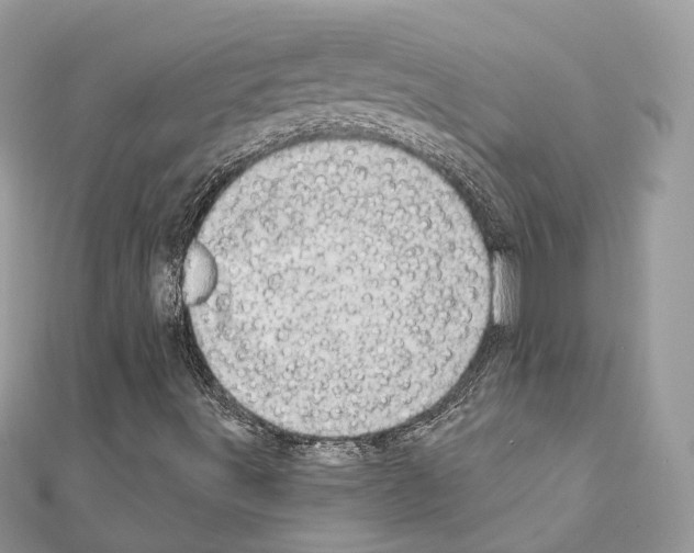 X0000111241491200908131132