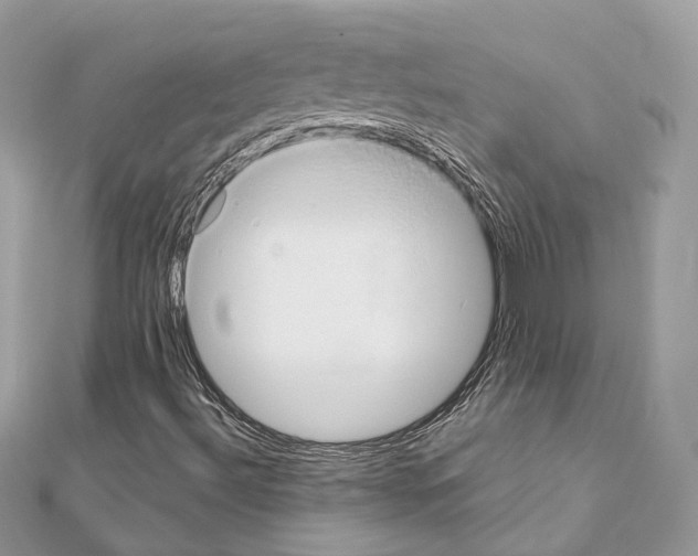 X0000111241492200908131132