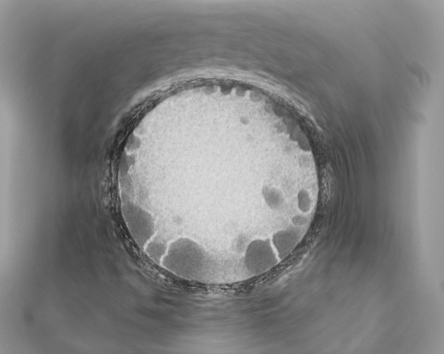 X0000111241494200908131132
