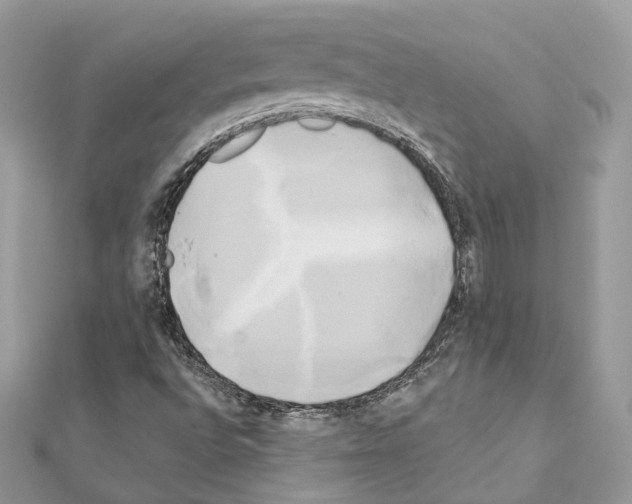 X0000111241496200908131132