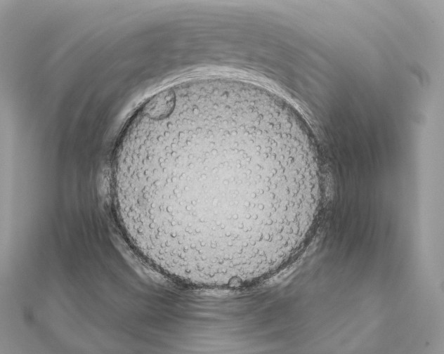 X0000111241499200908131132