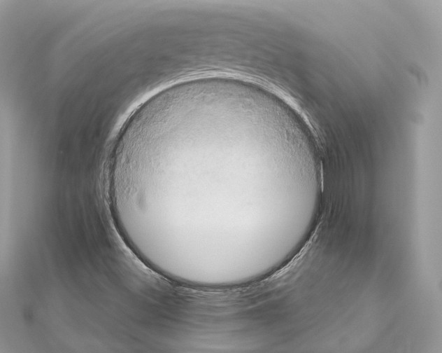 X0000111241500200908131132