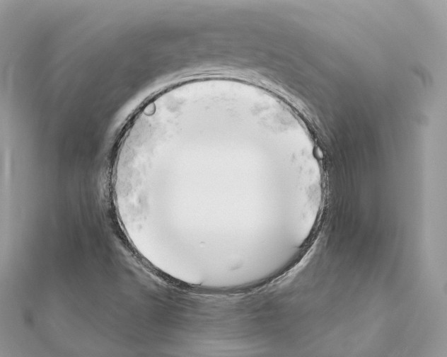 X0000111241502200908131132