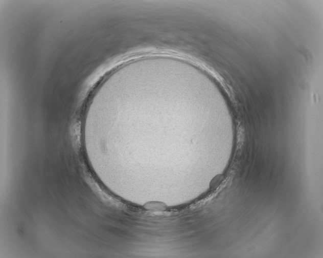 X0000111241503200908131132