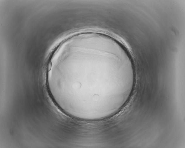 X0000111241504200908131133