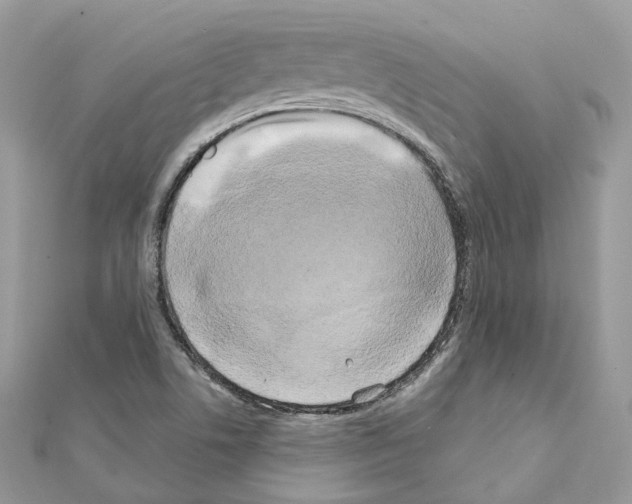 X0000111241506200908131133