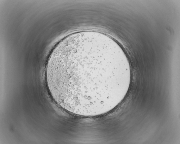 X0000111241507200908131133
