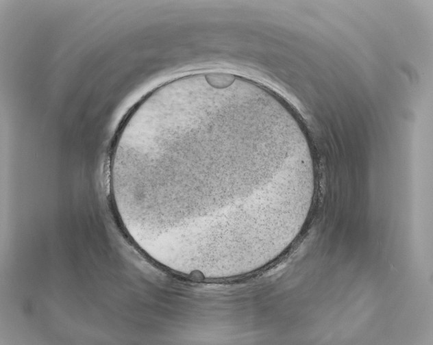 X0000111241510200908131133