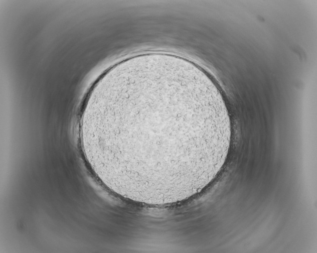 X0000111241511200908131133