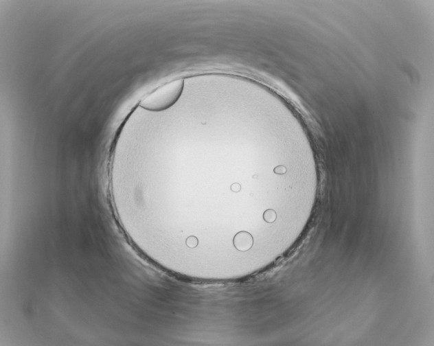 X0000111241512200908131133