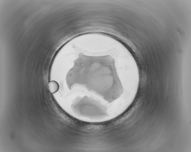 X0000111241513200908131133