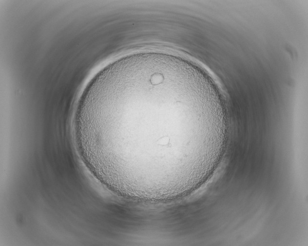X0000111241514200908131133