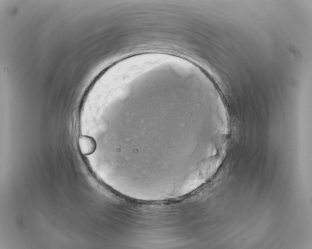 X0000111241515200908131133
