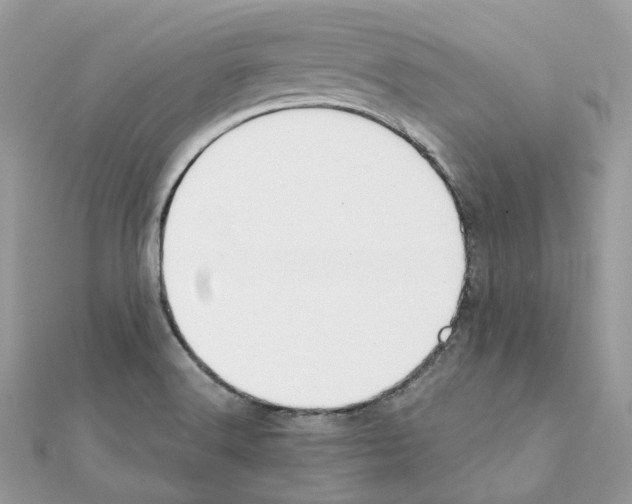 X0000111241516200908131133