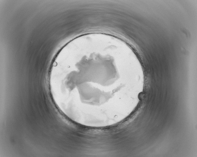 X0000111241517200908131133