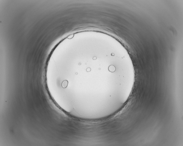 X0000111241518200908131133