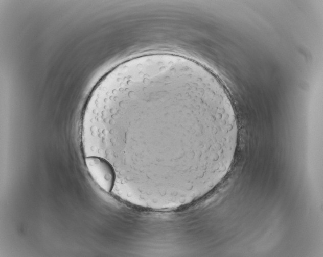 X0000111241519200908131133