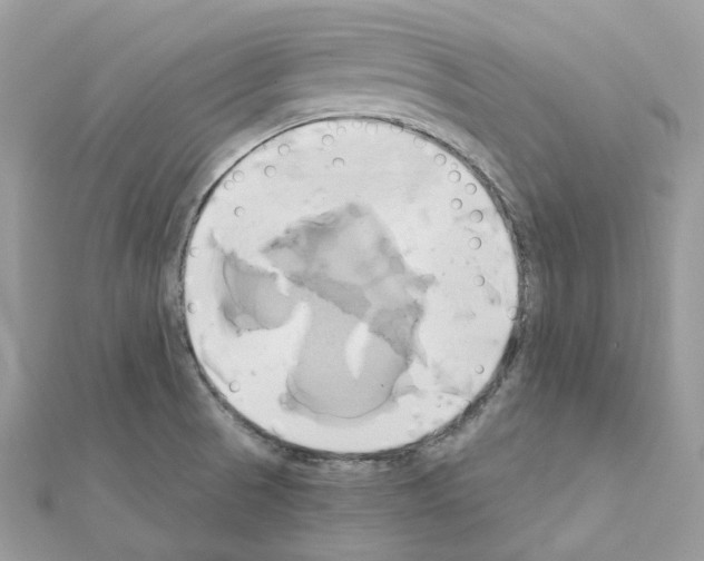 X0000111241521200908131133