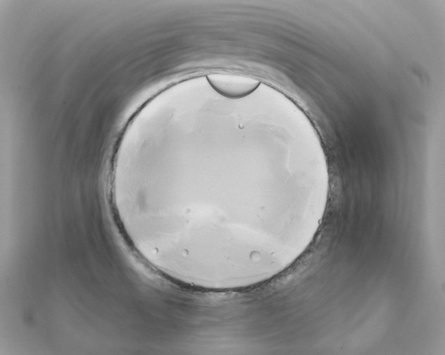X0000111241523200908131133