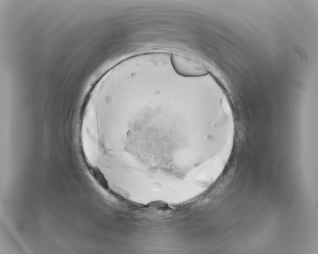 X0000111241525200908131133