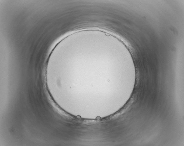 X0000111241526200908131133