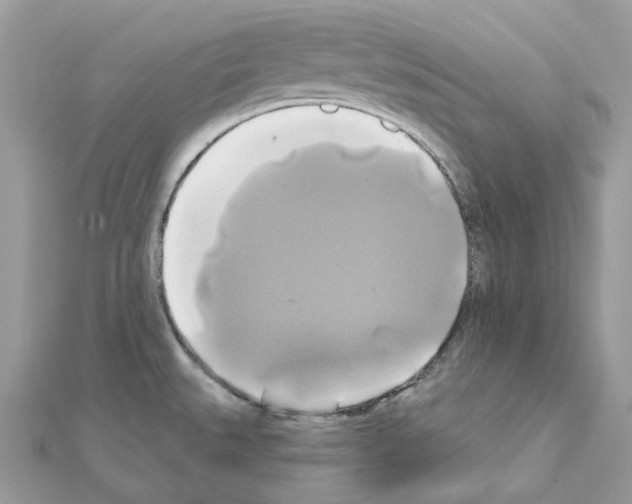 X0000111241527200908131133