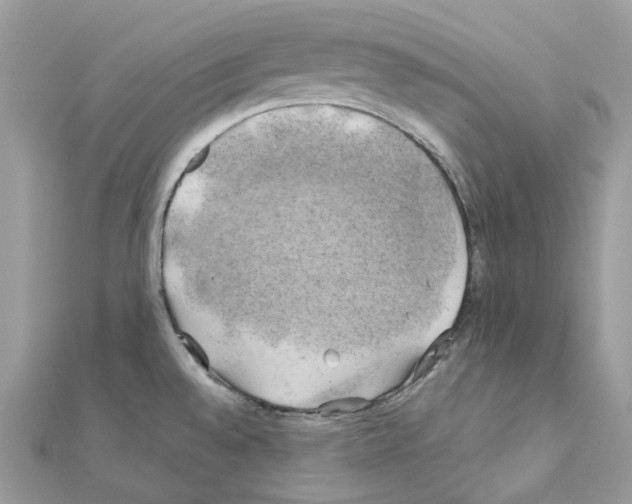 X0000111241528200908131133