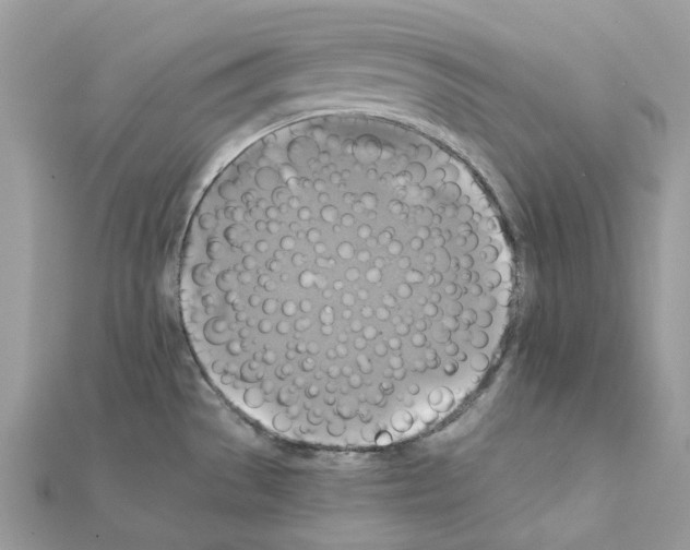 X0000111241529200908131133