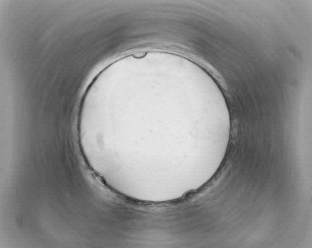 X0000111241530200908131133