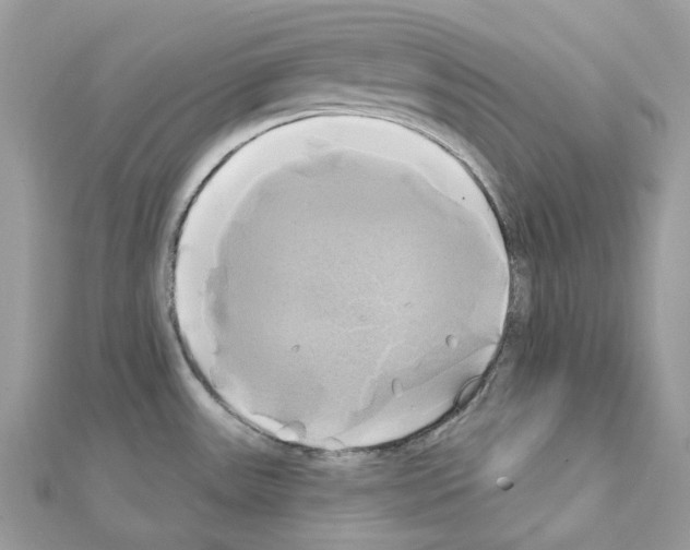 X0000111241531200908131133