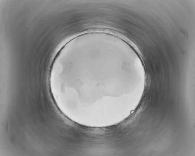 X0000111241533200908131133